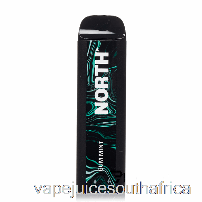 Vape Juice South Africa North 5000 Disposable Gum Mint
